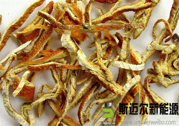 陈皮烘干杀菌设备
